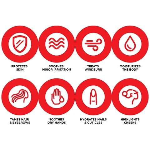 Image 1 - Image shows a grid of eight circular icons with corresponding labels, including symbols for skin protection, soothing minor irritation, treating windburn, moisturizing the body, taming hair and eyebrows, soothing dry hands, hydrating nails and cuticles, and highlighting cheeks.