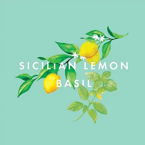 An illustration of yellow lemons with green leaves and white flowers on a light teal background with the text SICILIAN LEMON BASIL.