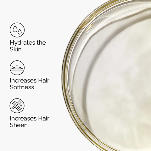 Image 1 - The image displays a clear liquid in a glass bowl on the right, and on the left, three icons with text descriptions: two water droplets with Hydrates the Skin, a downward arrow on a wavy surface with Increases Hair Softness, and wavy lines with sparkles with Increases Hair Sheen. Image 2 - A close-up shows dark hair on a scalp with a dropper applying a golden liquid, alongside two labels that read Softens Hair and Enhances Shine. Image 3 - A close-up shows a hand with light pink nails applying a glossy clear serum to a persons cheek, with two labels reading Hydrates and For Dry Skin. Image 4 - A clear liquid is dispensed from a dropper onto a reflective surface, with the text Key ingredient: Argan Oil A hydrating oil which combats dryness for healthy-looking skin and hair. Image 5 - The image displays a six-product skincare regimen from The Ordinary, categorized into PREP, TREAT, and SEAL steps, with the visible text A regimen for replenishing hydration. PREP Glycolipid Cream Cleanser Removes impurities and makeup. Saccharomyces Ferment 30% Milky Toner Promotes smoother brighter skin while boosting hydration. TREAT Hyaluronic Acid 2% + B5 Hydrates and plumps the skin. 100% Organic Cold-Pressed Moroccan Argan Oil Hydrates dry skin for a healthy-looking appearance. SEAL Natural Moisturizing Factors + PhytoCeramides Nourishes skin and boosts hydration.