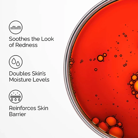 Image 1 - A close-up of a petri dish containing a red-orange liquid with various bubbles, displayed alongside text that reads: Soothes the Look of Redness, Doubles Skins Moisture Levels, Reinforces Skin Barrier. Image 2 - Close-up of a persons face with orange droplets on the cheek, accompanied by text labels Soothing, Barrier Support, and Antioxidant Support. Image 3 - A clear glass dropper filled with red liquid and golden oil bubbles drips onto a reflective white surface, next to the text Key ingredient in Pycnogenol 5%: Pycnogenol French maritime pine bark extract helps protect against environmental stressors. Image 4 - An age support regimen for dull skin is shown with three The Ordinary products: a grey tube for PREP, Squalane Cleanser, which cleanses skin and removes makeup; a white dropper bottle for TREAT, Multi-Peptide + HA Serum, which targets multiple signs of early skin aging; a dark brown dropper bottle for TREAT, Pycnogenol 5%, which helps brighten skin; and a grey tube for SEAL, Natural Moisturizing Factors + PhytoCeramides, which nourishes skin and boosts hydration.
