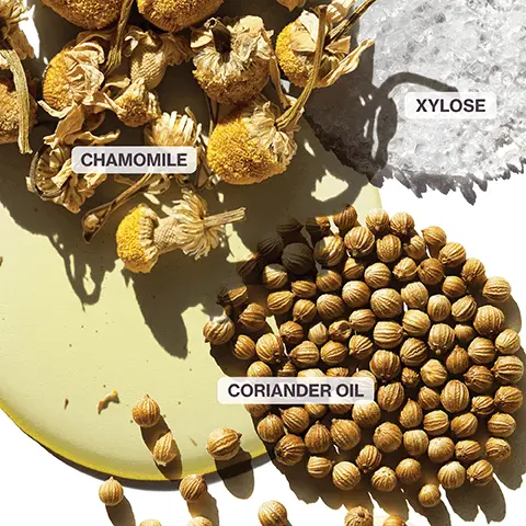 Image 1, chamomile xylose coriander oil Image 2, benefit up to 230 degrees heat protection daily blow dry lotion