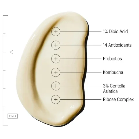 1% dioic acid, 14 antioxidants, probiotics, kombucha, 3% centella asiatica and ribose complex