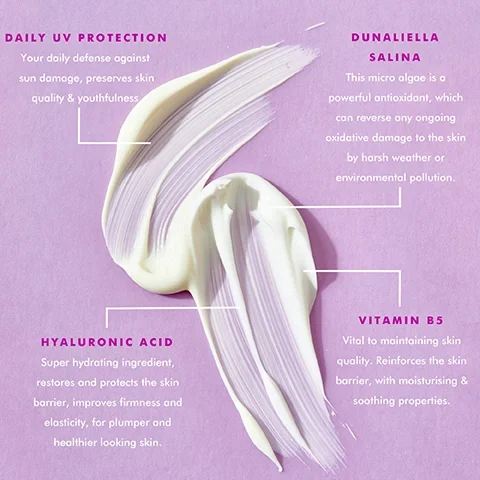 Image 3 - Image shows a swatch of cream against a purple background with text highlights: Daily UV Protection, Dunaliellea Salina, Hyaluronic Acid, and Vitamin B5, describing their benefits for skin health and protection.