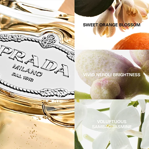 Image 1, sweet orange blossom, vivid neroli brightness, voluptuous sambas jasmine. Image 2, les unfusions e prada, infusion d'oranger. Image 3, les unfusions de prada, in fusion with you