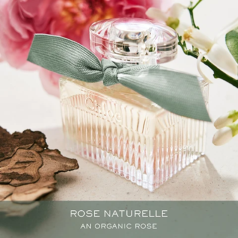 Image 1 - A glass perfume bottle with a light pink liquid, a textured surface, and a green ribbon is placed among soft pink flowers and natural elements, with visible text reading Rose Naturelle An Organic Rose.
Image 2 - An instructional graphic showing the steps to refill a 100ml bottle for Chloé Rose Naturelle, featuring illustrations labeled 1 to 4 depicting the process and the text Chloé ROSE NATURELLE HOW TO REFILL YOUR 100ML BOTTLE.
Image 3 - A display of four perfume bottles from Chloé surrounded by soft flowers, with text at the top reading Discover the signature fragrances and each bottle labeled: Eau de Parfum with Intimate, Sensual; Eau de Parfum Lumineuse with Feminine, Élegant; Rose Naturelle with Modern, Woody; and Rose Naturelle Intense with Intense, Woody.
