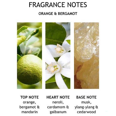 A visual representation of fragrance notes with three panels showing a green citrus fruit, white citrus blossoms, and amber-colored resin, with text that reads: FRAGRANCE NOTES ORANGE & BERGAMOT TOP NOTE orange, bergamot & mandarin HEART NOTE neroli, cardamom & galbanum BASE NOTE musk, ylang-ylang & cedarwood.