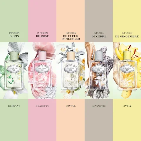 Infusion d'ris = elegant. infusion de rose = gracfeful. infusion de fleur d'oranger = joyful. infusion de cedre = magnetic. infusion de gingembre = lively.