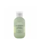 Aveda Pure Abundance Hair Potion (20 g)