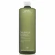 Aveda Botanical Kinetics Exfoliant (150ml)
