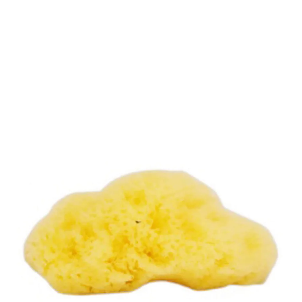 The Natural Sea Sponge Company - Fina Silk Sea Sponge (ong. 3 Inches) Afbeelding 1