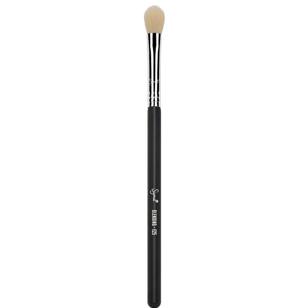 Sigma E25 Blending Brush Afbeelding 1