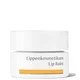 Dr Hauschka Lip Balm 4.5ml