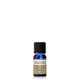 Neal's Yard Remedies Frankincense Essential Oil 10ml