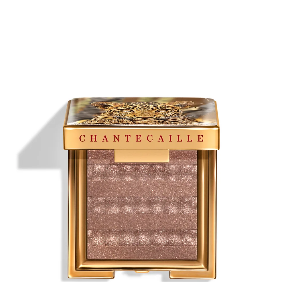Chantecaille Luminescent Eye 2.5g (Various Shades) Afbeelding 1