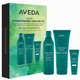 Botanical Repair Black Friday Set (Worth 88.00 €)