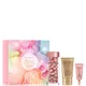 Elizabeth Arden Nightly PerFormance Retinol Ceramide Capsules (60 Capsules) Cadeauset