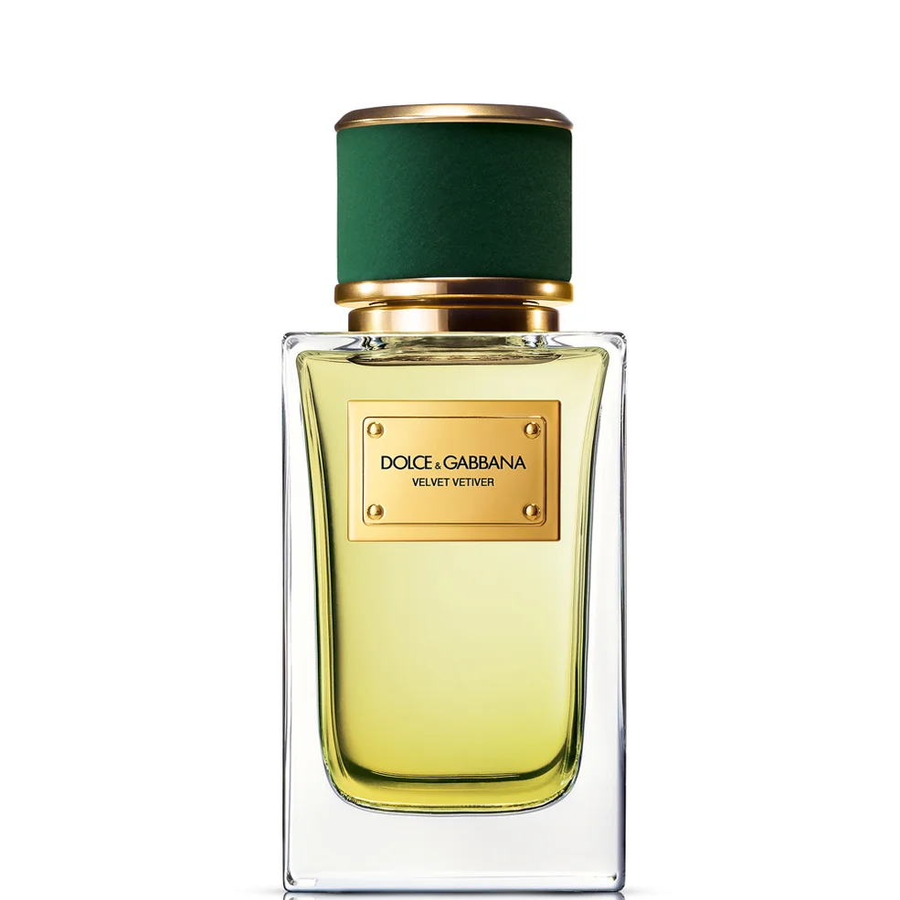 Dolce&Gabbana Velvet Vetiver Eau de Parfum 100 ml Afbeelding 1